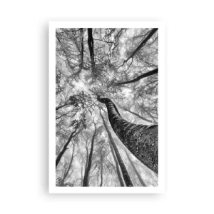 Poszter - Verseny a fény felé - 61x91 cm