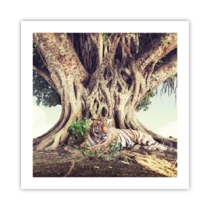 Poszter - Kilátás a Genezis könyvéből - 50x50 cm