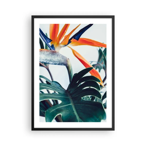 Poszter fehér keretben - Közeli kép egy zöld levelekkel körülvett strelitzia virágról - 50x70cm - Madárkalitka - Modern fali dekoráció nappalihoz és hálószobához ARTTOR