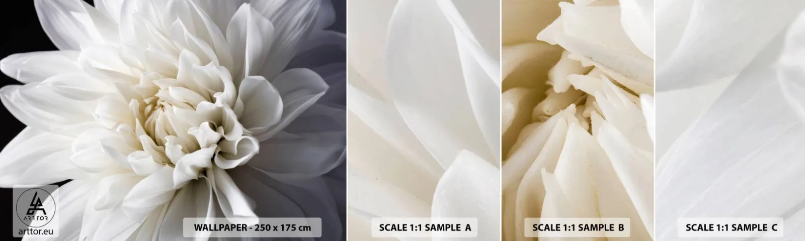 Fotótapéta Minta Standard Eco - Menyasszony reggele - Virág, Dália, Természet - 100x30 cm