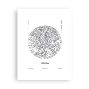 Poszter - Krakkó anatómiája - 30x40 cm