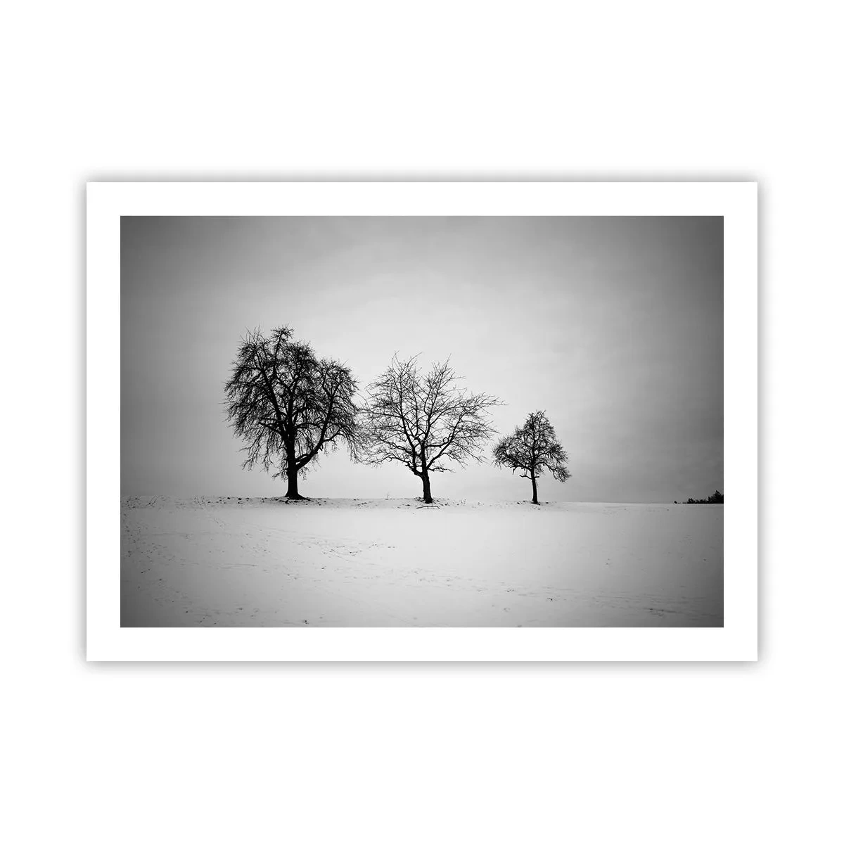 Poszter - Miről álmodoznak? - 70x50 cm