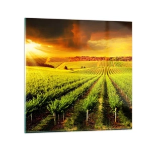 Üveg kép - Ausztrál nap alatt - 50x50 cm