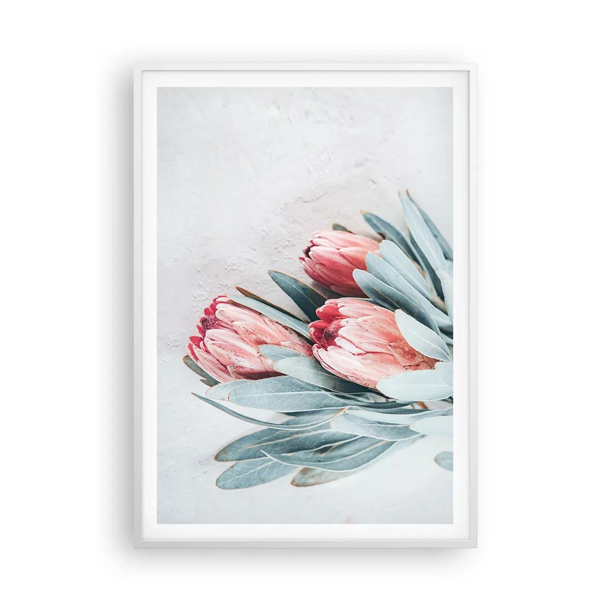Poszter fekete keretben - Szégyellve saját szépségüket - 70x100 cm