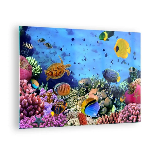 Üveg kép - Színes halak és egy tengeri teknős a korallzátony ellen - 70x50cm - És mit tudunk az életről... - Modern fali dekoráció nappalihoz és hálószobához ARTTOR