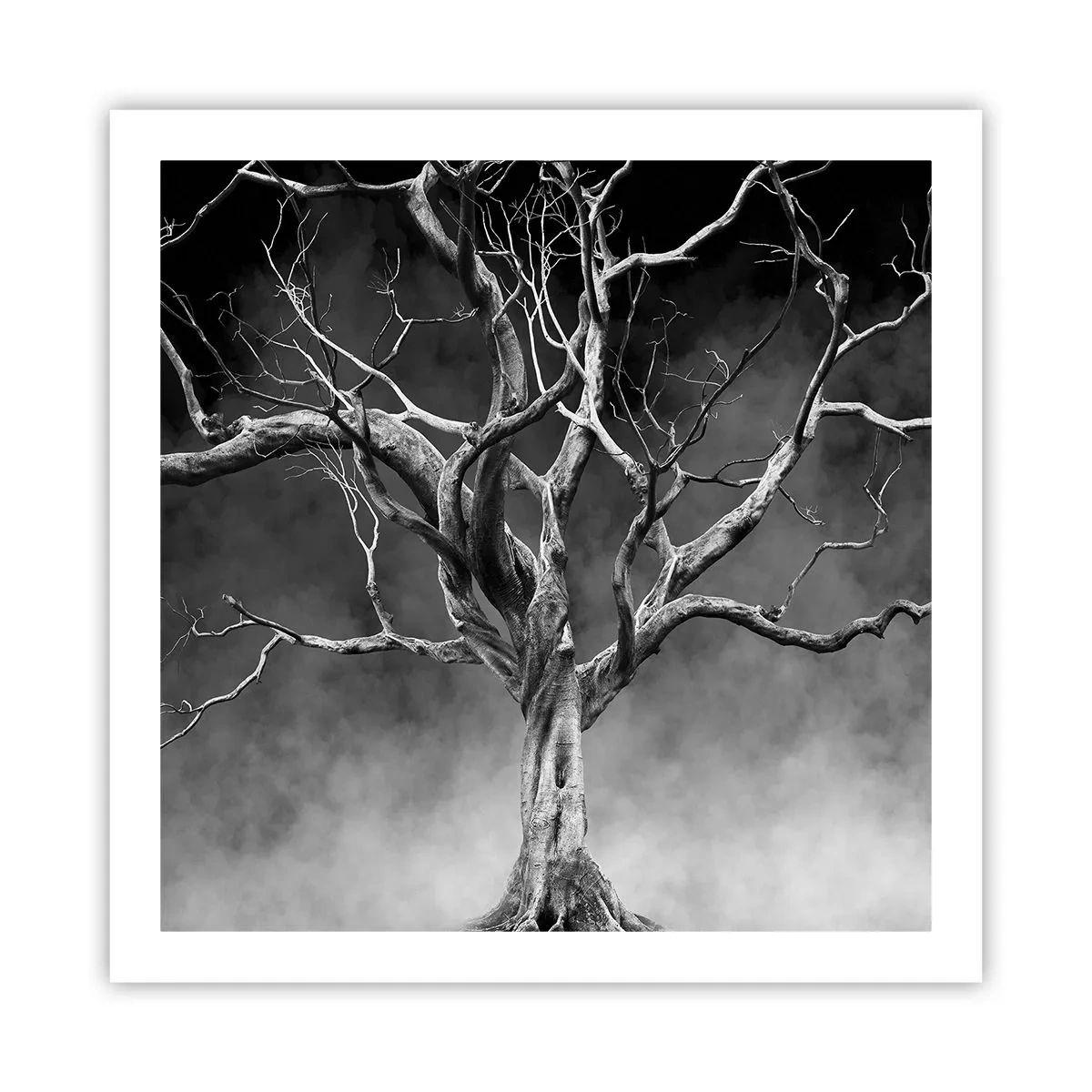 Poszter - Ősi és szent - 60x60 cm