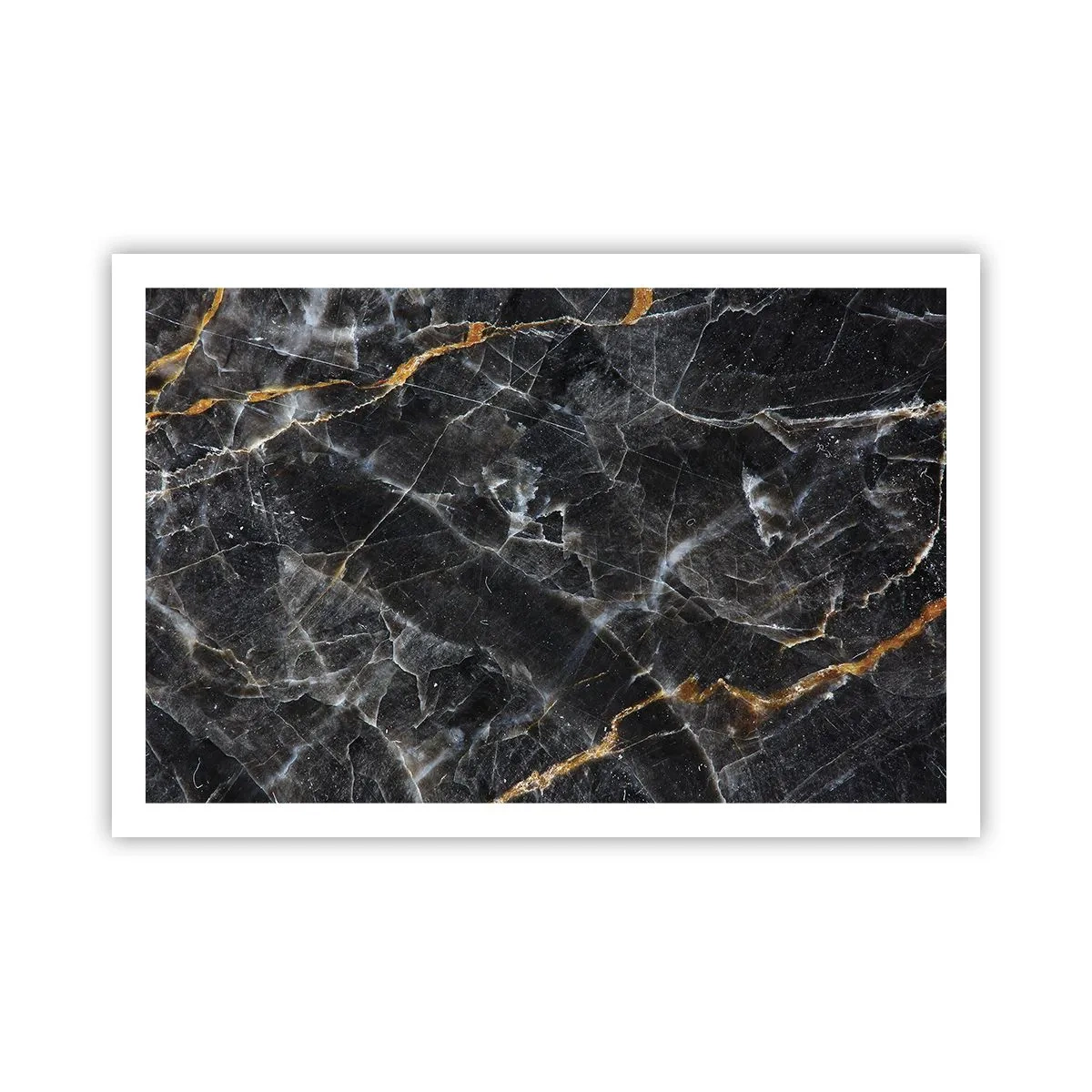 Poszter - A kő belső élete - 91x61 cm