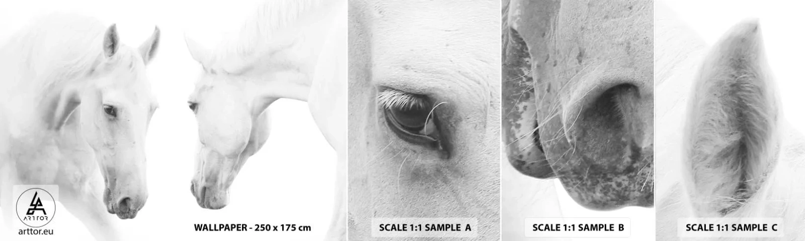 Fotótapéta Minta Standard Eco - Ez a barátság...? - Lovak, Természet, Állatok - 100x30 cm