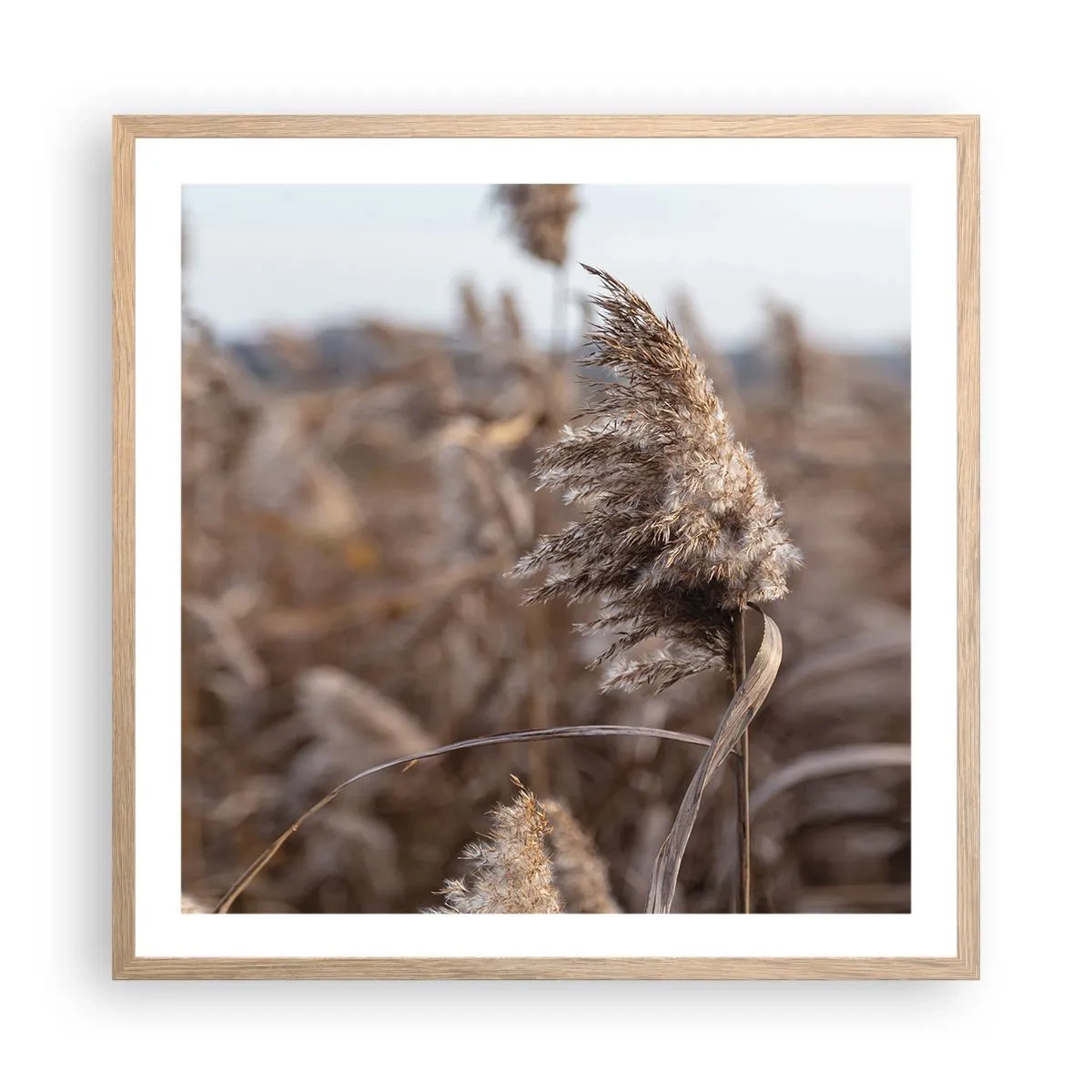 Poszter világos tölgy keretben - Ideje elrepülni a széllel - 60x60 cm