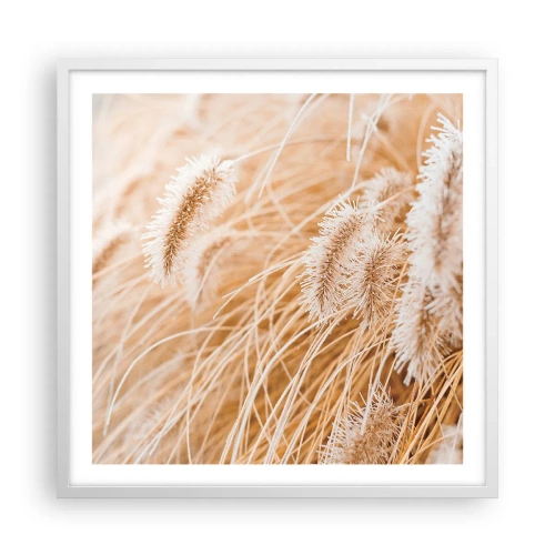 Poszter fekete keretben - A fű arany susogása - 60x60 cm