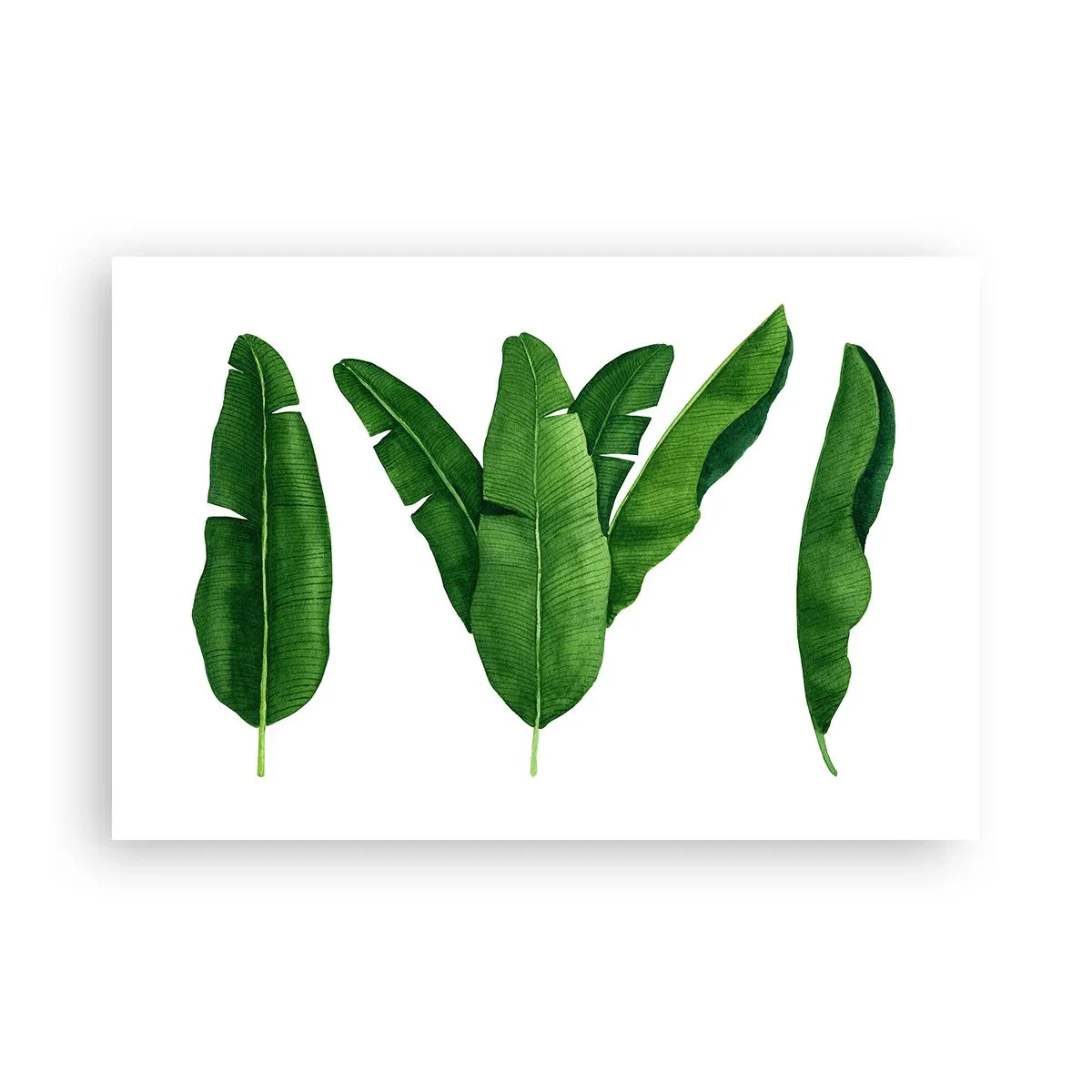 Poszter - Zöld szimmetria - 91x61 cm