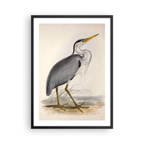 Poszter fehér keretben - Gém kegyelme - 50x70cm - Gémnek kecsessége - Modern fali dekoráció nappalihoz és hálószobához ARTTOR