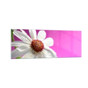 Üveg kép - A Szépségében szerény - 140x50 cm