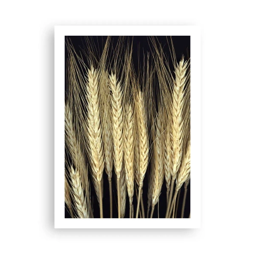 Poszter - Rusztikus varázslat - 50x70 cm