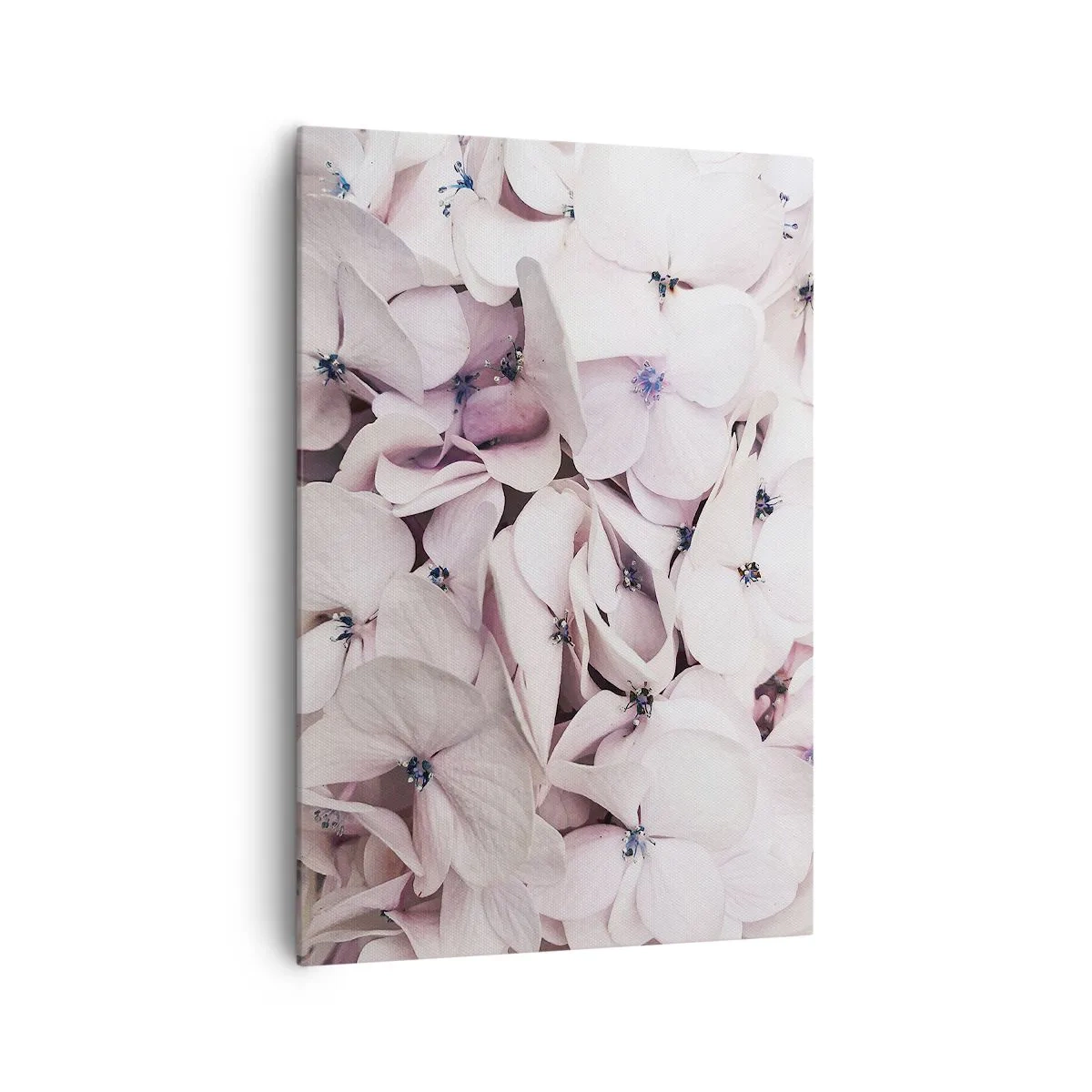 Vászonkép - A virágok áradatában - 70x100 cm