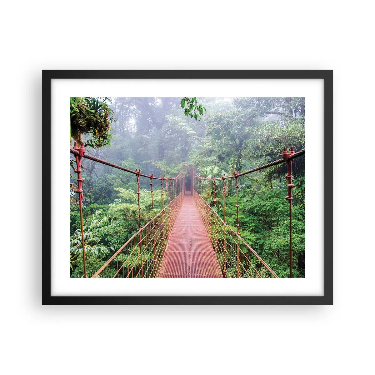 Poszter fehér keretben - A lomkoronák fölé függesztve - 50x40 cm