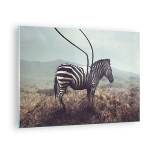 Üveg kép - Zebra a füves háttéren szürreális antenna részletekkel - 70x50cm - Figyelem! Hiba - Modern fali dekoráció nappalihoz és hálószobához ARTTOR