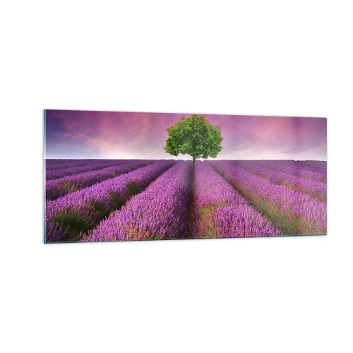 Üveg kép - Levendulaföldeken - 100x40 cm