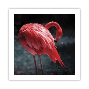 Poszter - A természet karmazsinvörös verse - 50x50 cm