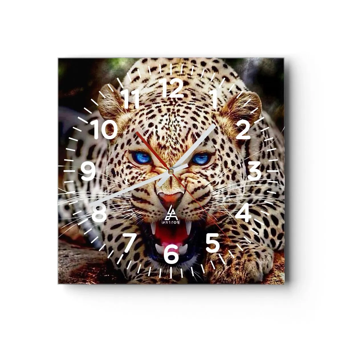 Falióra, Óra - A szépség nem árt a haragnak - 40x40 cm