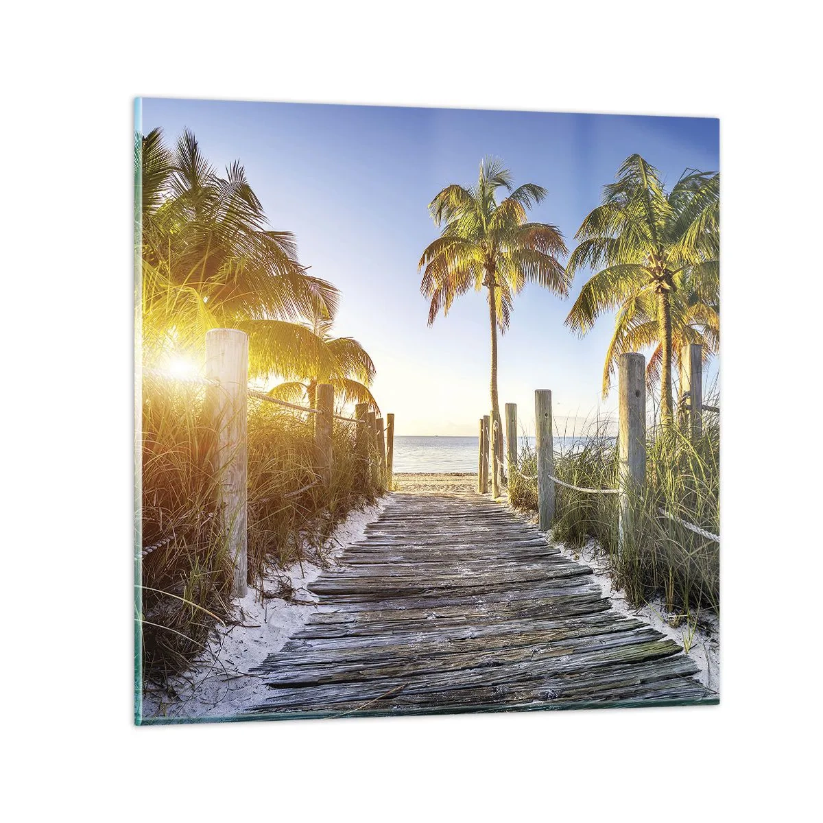 Üveg kép - Egyenesen a paradicsomba - 40x40 cm