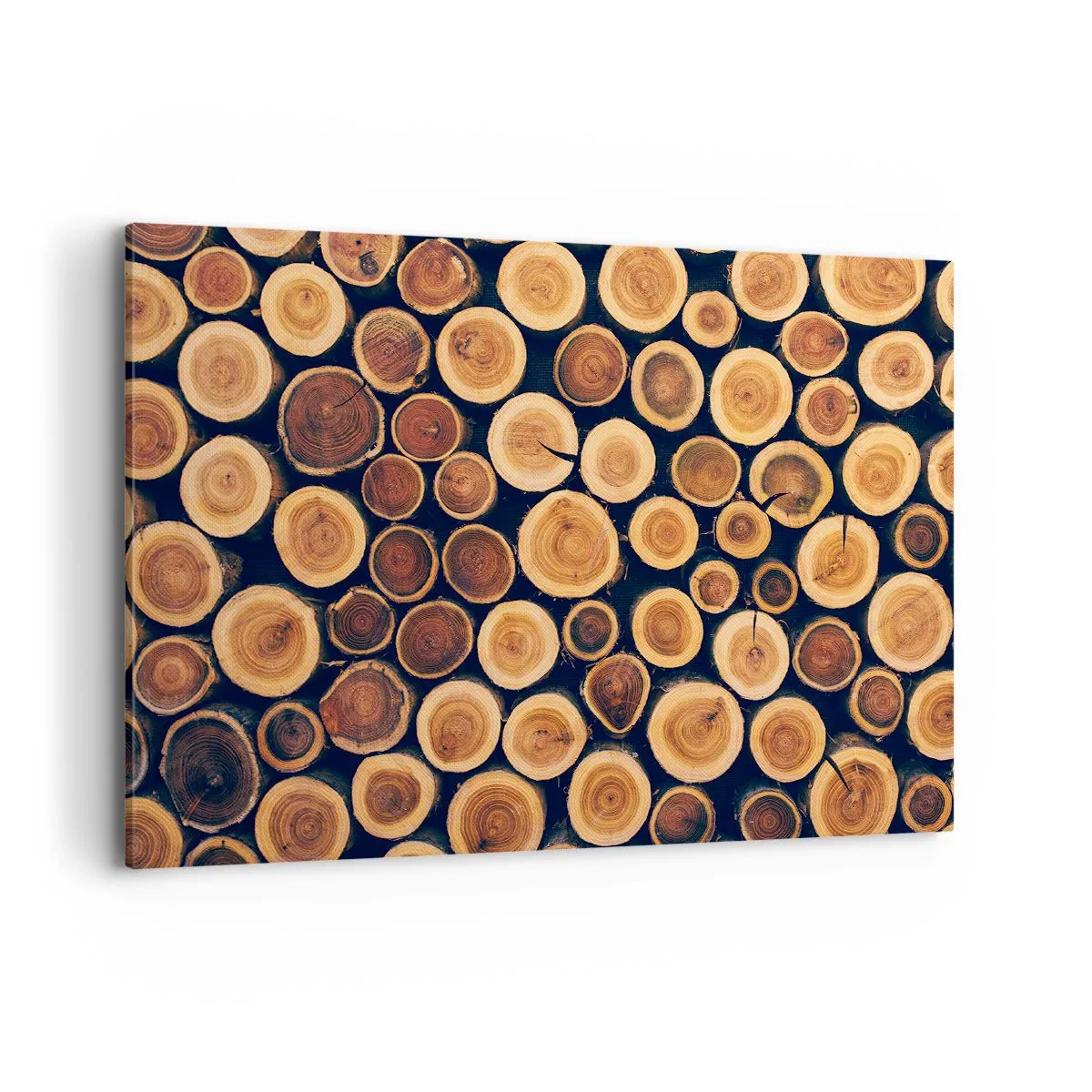 Vászonkép - Hány évesnek nézek ki? - 100x70 cm