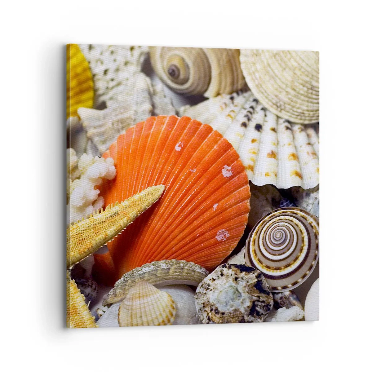 Vászonkép - Óceán kincsei - 70x70 cm