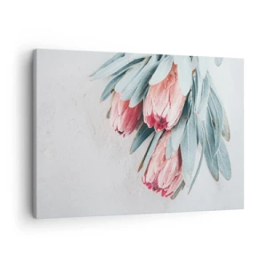 Vászonkép - Finom rózsaszín protea virágok világos háttér előtt - 70x50cm - Szégyellve saját szépségüket - Modern fali dekoráció nappalihoz és hálószobához ARTTOR