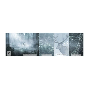 Fotótapéta Minta Standard Eco - Reggeli birtokellenőrzés - Tájkép, Erdő, Szarvas - 100x30 cm