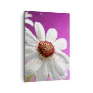 Vászonkép - A Szépségében szerény - 50x70 cm