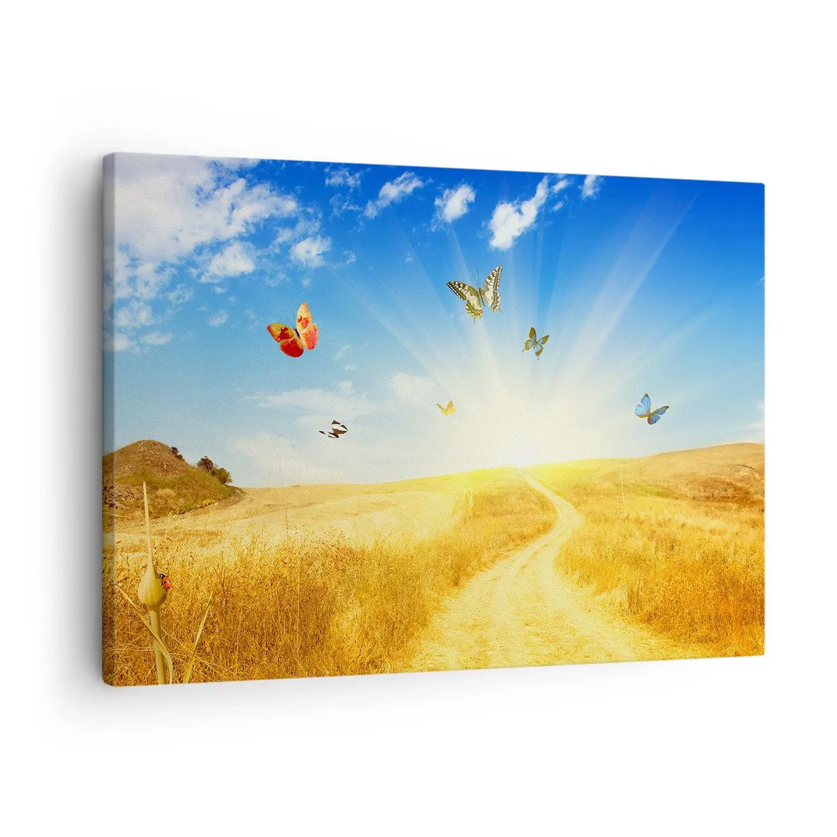 Vászonkép - Egy arany mező, egy ösvény és pillangók a kék ég előtt - 70x50cm - És hogy lehet nem szeretni a nyarat? - Modern fali dekoráció nappalihoz és hálószobához ARTTOR
