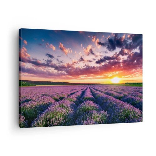 Vászonkép - Levendula mező naplementekor, színes égbolttal - 70x50cm - Levendula világ - Modern fali dekoráció nappalihoz és hálószobához ARTTOR