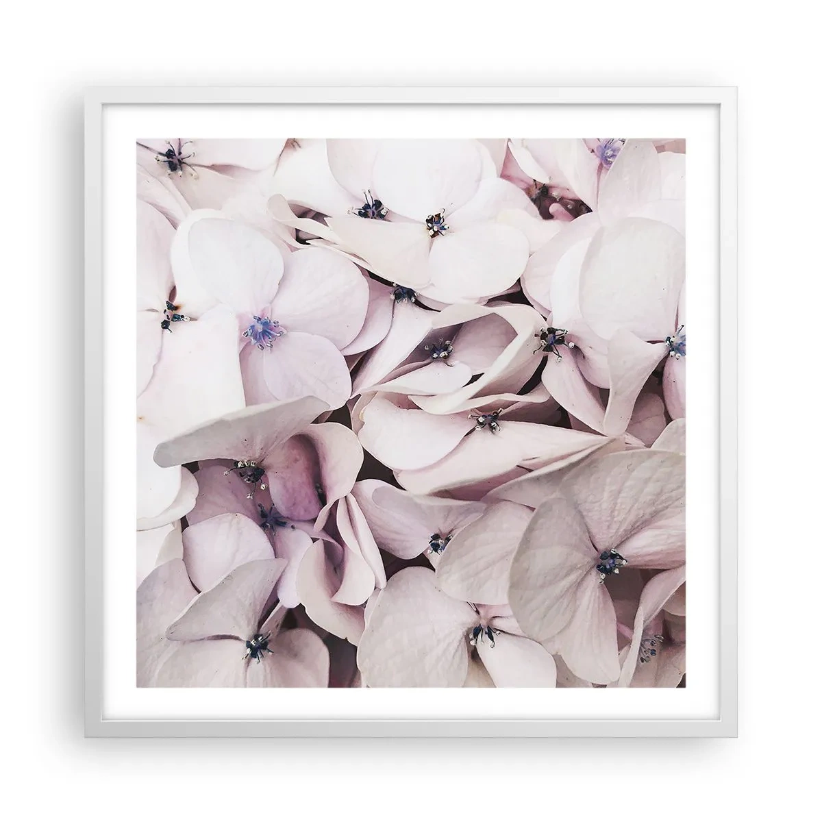 Poszter fekete keretben - A virágok áradatában - 60x60 cm