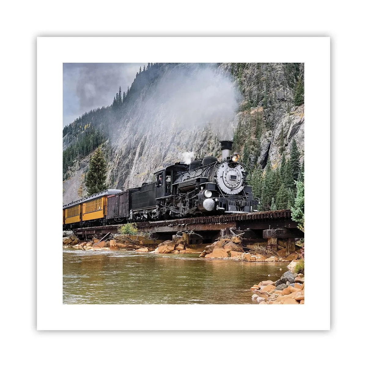 Poszter - Hova? Hova? - 40x40 cm