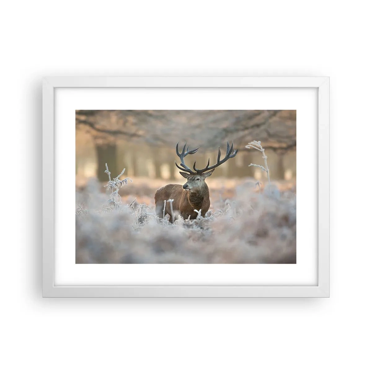 Poszter fekete keretben - Friss reggel - 40x30 cm