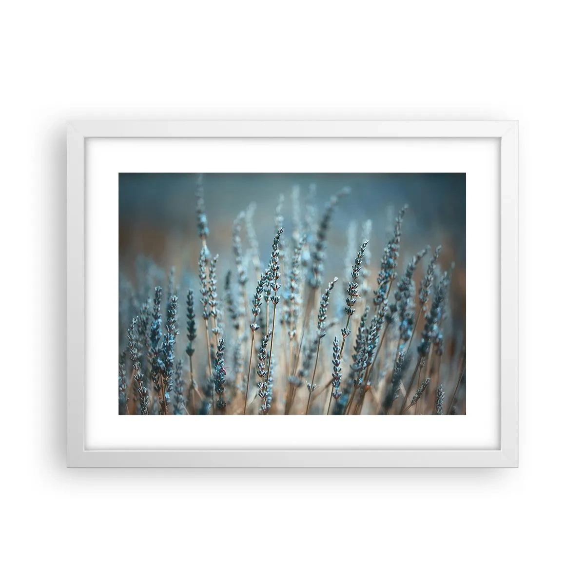 Poszter fekete keretben - Illatos szálak - 40x30 cm