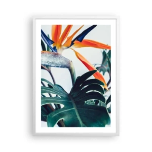 Poszter fekete keretben - Madárkalitka - 50x70 cm