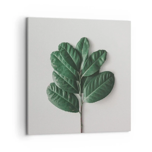 Vászonkép - Rajz csak a természetről - 50x50 cm