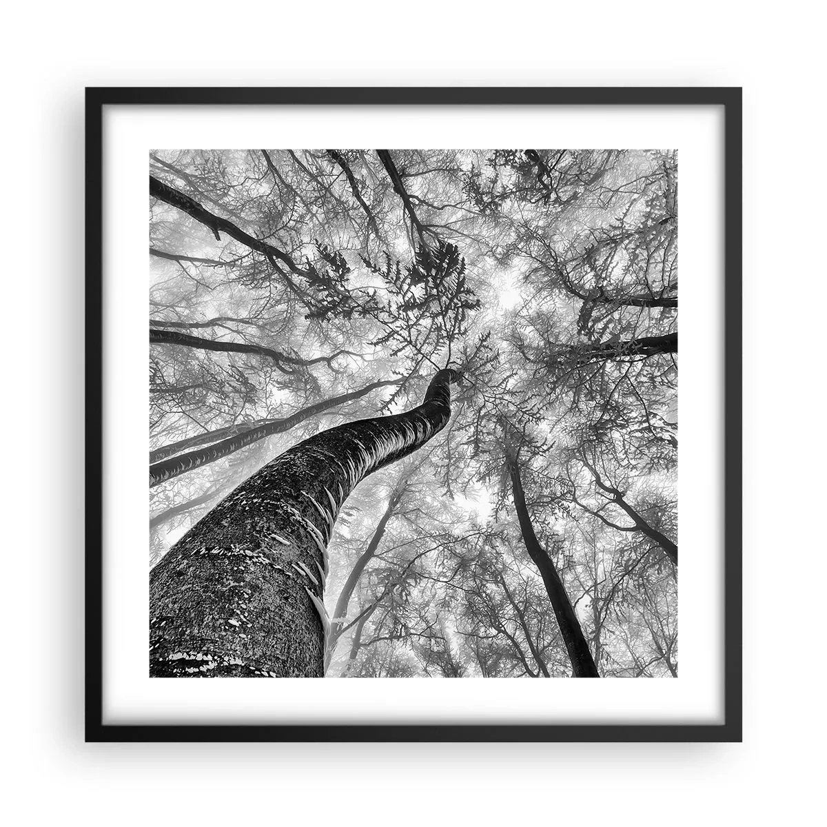 Poszter fehér keretben - Verseny a fény felé - 50x50 cm