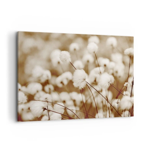 Vászonkép - Bolyhos termés - 100x70 cm