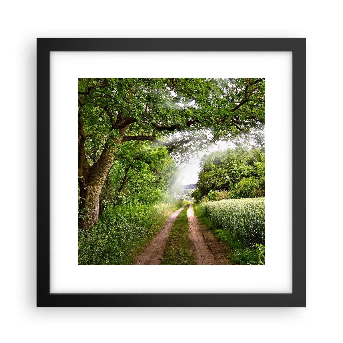 Poszter fehér keretben - Et in Arcadia ego - 30x30 cm