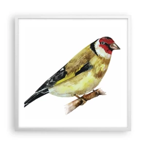 Poszter fekete keretben - Madárportré - 60x60 cm