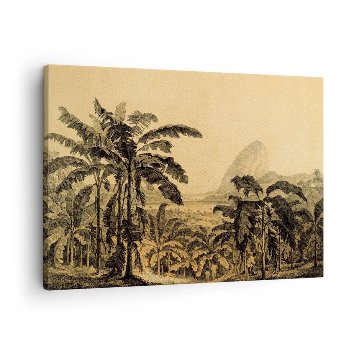 Vászonkép - Banánfák rajza trópusi táj háttér előtt - 70x50cm - Gyarmati klímában - Modern fali dekoráció nappalihoz és hálószobához ARTTOR