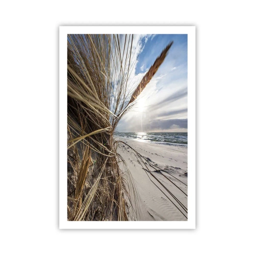 Poszter - Az elemek találkozása - 61x91 cm