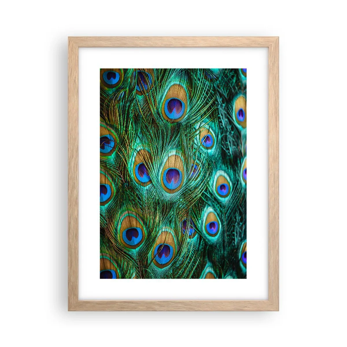 Poszter világos tölgy keretben - Pávaszemű pillantás - 30x40 cm