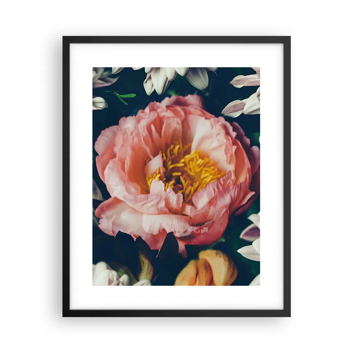 Poszter fehér keretben - Barokk pompával - 40x50 cm