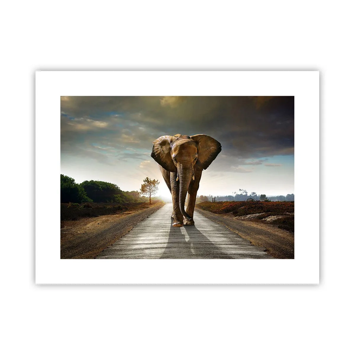 Poszter - És egyáltalán nem porcelánraktárban - 40x30 cm