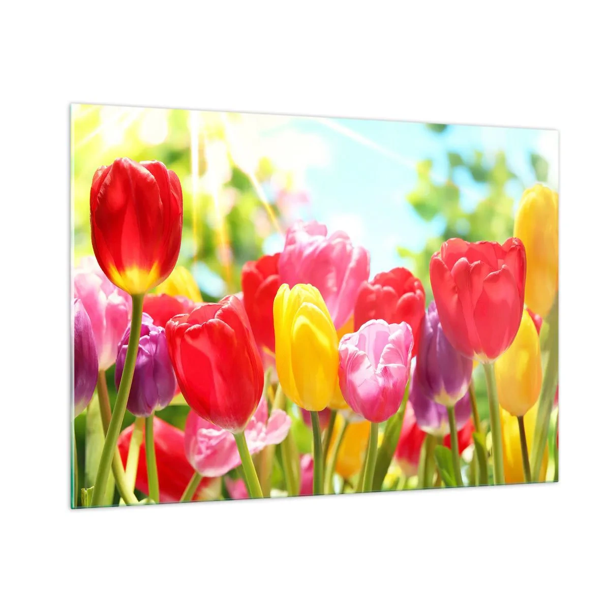 Üveg kép - Mi vagyunk, a május színei! - 100x70 cm