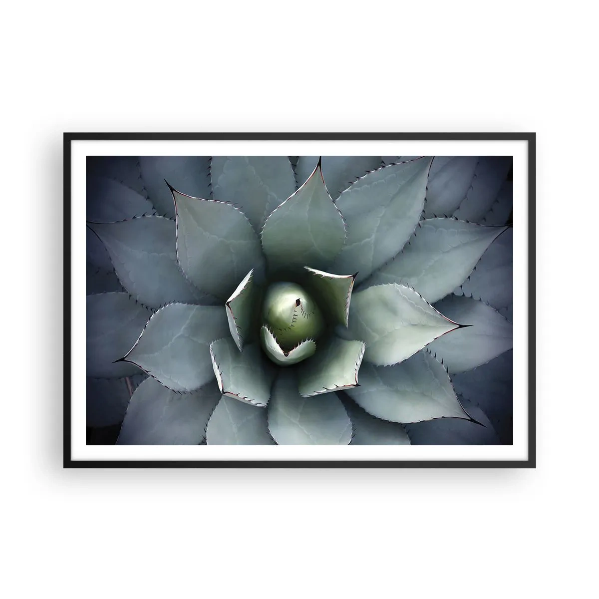 Poszter fehér keretben - Wabi és figyelmeztetés - 100x70 cm