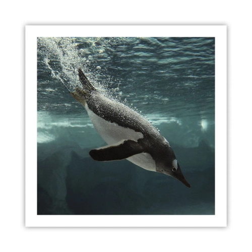 Poszter - Üdv a világomban - 60x60 cm